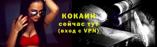 сатива Арсеньев