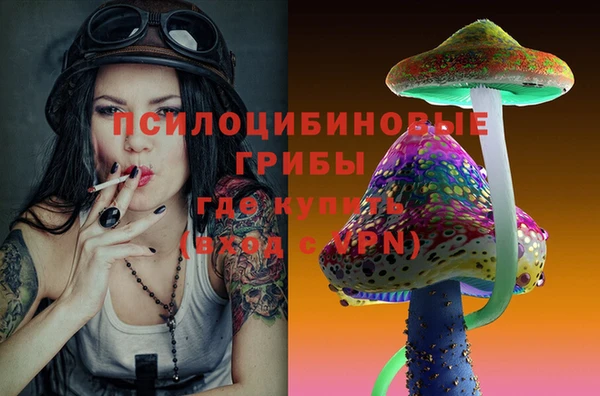 сатива Арсеньев
