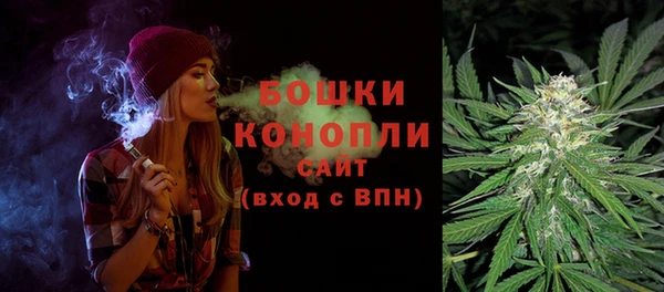 винт Аркадак