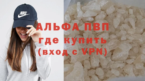 сатива Арсеньев